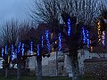 2009-12-05 -  29 Low